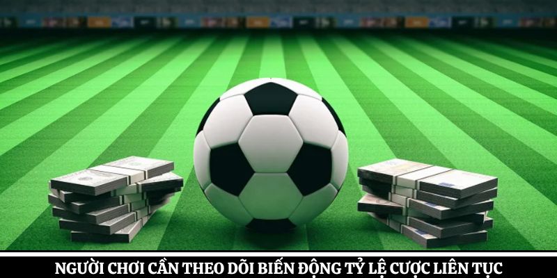 Người chơi cần theo dõi biến động tỷ lệ cược liên tục